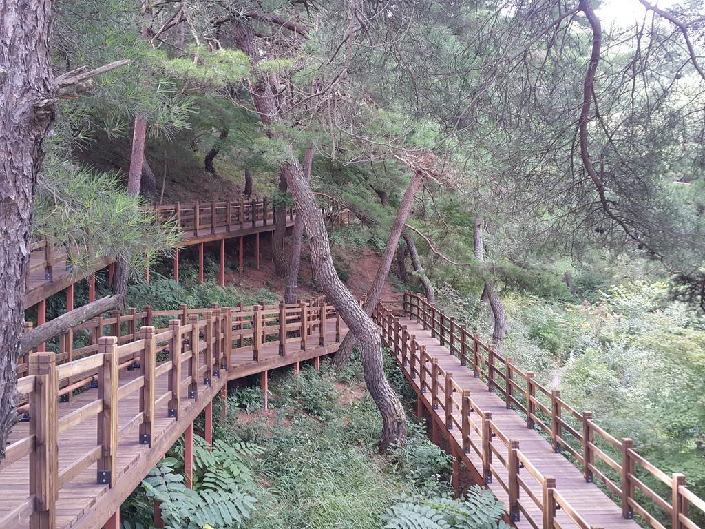 Pyeongchang River House Εξωτερικό φωτογραφία