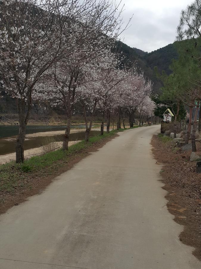 Pyeongchang River House Εξωτερικό φωτογραφία