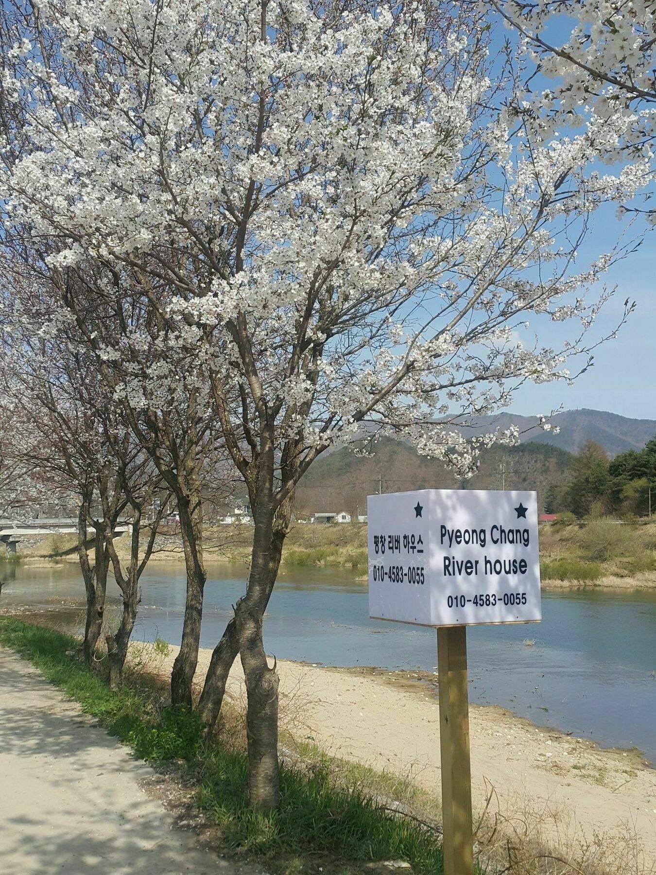 Pyeongchang River House Εξωτερικό φωτογραφία